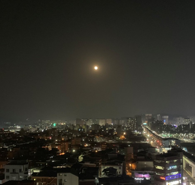 22일 트위터에 올라온 