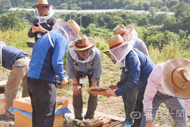가톨릭상지대가 고용노동부의 지역산업·맞춤형 일자리 창출 지원사업으로 양봉산업 전문인력 양성 사업에 본격 나선다. 현장 교육에 참가한 교육생들의 모습. 가톨릭상지대 제공