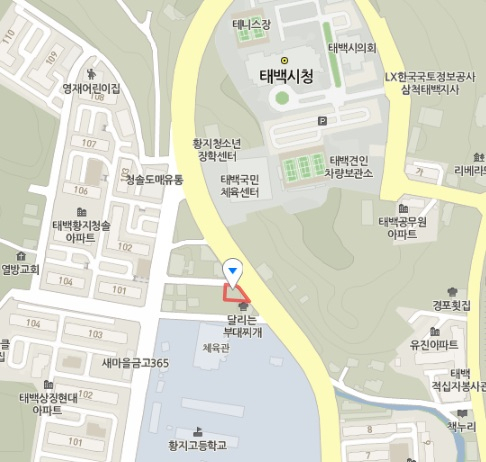 태백 곤드레감자탕 맛집 