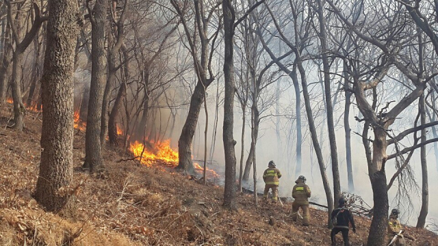 28일 오후 부산 기장군 철마면 소산마을 뒤편 야산에서 불이 나 소방대원들이 진화하고 있다. 연합뉴스