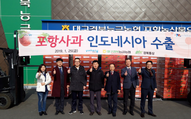 인도네시아로 수출되는 포항시 기계, 죽장면 사과