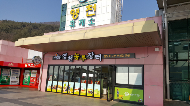 영천농부장터 전경