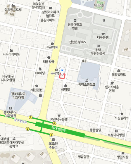 굴림만두 전골(속 보이는 만두전골) 파는 대구 