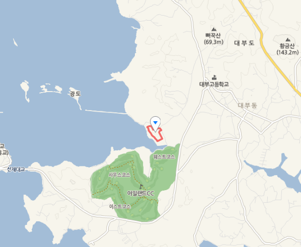 랍스터·킹크랩을 낚시로? 안산 대부도 독도바다좌대낚시터 생방송투데이 소개. 네이버 지도
