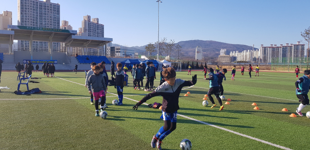 경산시와 시축구협회가 3월에 유소년 축구단과 여성축구단을 창단한다. 사진은 지난 20~27일 하양생활체육공원에서 열린 스토브리그에서 축구연습을 하고 있는 유소년 축구선수들 모습. 경산시축구협회 제공