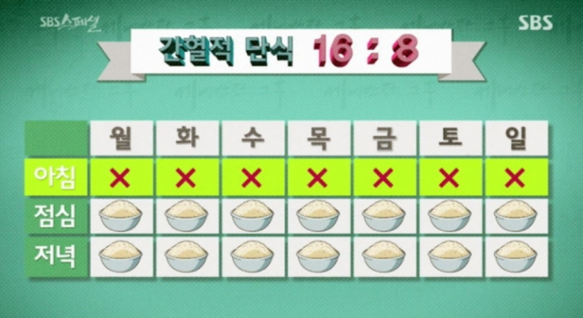 16:8 단식. SBS 스페셜