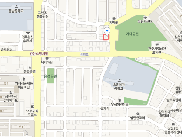 4900원 흑돼지 불고기 정식? 전주 