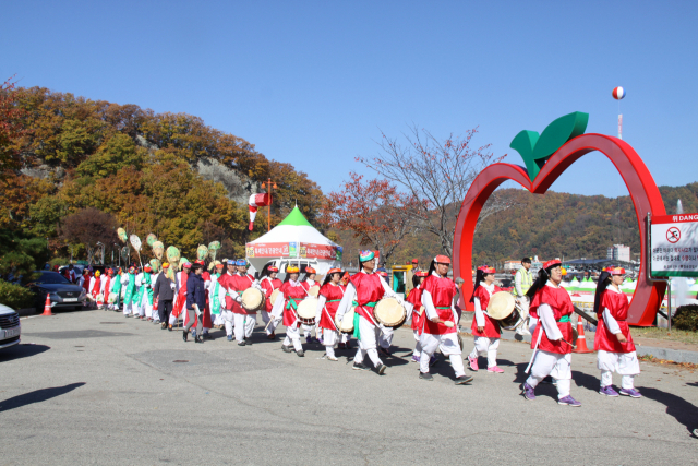 청송사과축제가 2년 연속 경북도 지정 최우수 축제로 선정됐다. 사과 퍼레이드 모습. 경북도 제공