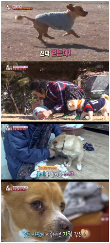 봉이와 할머니 (이미지출처: SBS TV 동물농장)