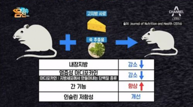 사진=방송캡처