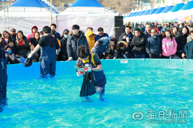 겨울철 최고의 먹거리 울진 대게와 붉은대게 축제가 오는 28일부터 나흘간 후포항 일원에서 열린다. 울진군 제공