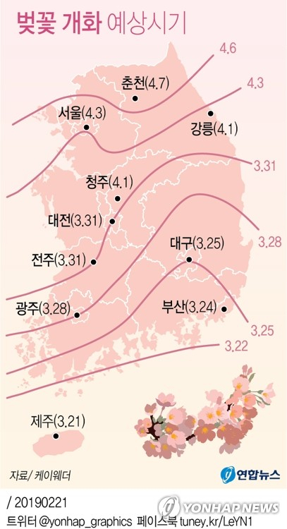 올해 벚꽃은 한 달 뒤인 내달 21일 제주에서 피기 시작해 4월 3일이면 서울에서도 볼 수 있을 전망이다. 기상업체 케이웨더는 2월의 남은 날과 3월 기온이 평년과 비슷하거나 다소 높을 것으로 전망됨에 따라 올해 벚꽃 개화는 평년보다 4∼7일 빠를 것으로 21일 예상했다. 연합뉴스 연합뉴스