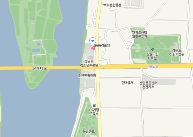 춘천 해물·육개장·비빔 칼국수 맛집 