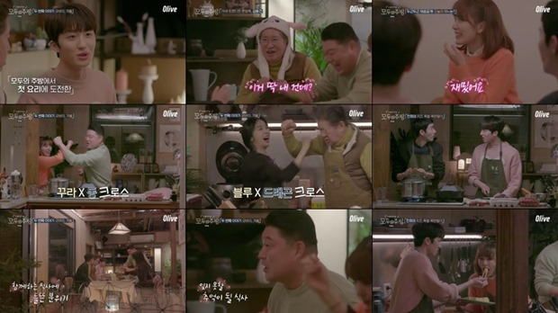 올리브TV 