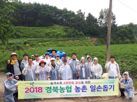경북농협은 농촌 일손돕기, 농업인 행복버스 운영 등 다양한 사회공헌 활동을 펼치고 있다. 경북농협 제공