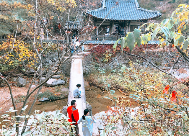 안동시가 6가지 테마별 관광코스를 구성한 가운데 