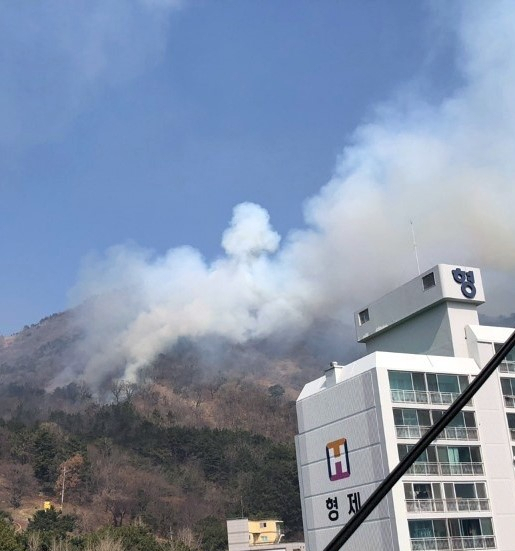 26일 점심 때 부산 산불, 사하구 승학산 화재. 부산소방본부 제공