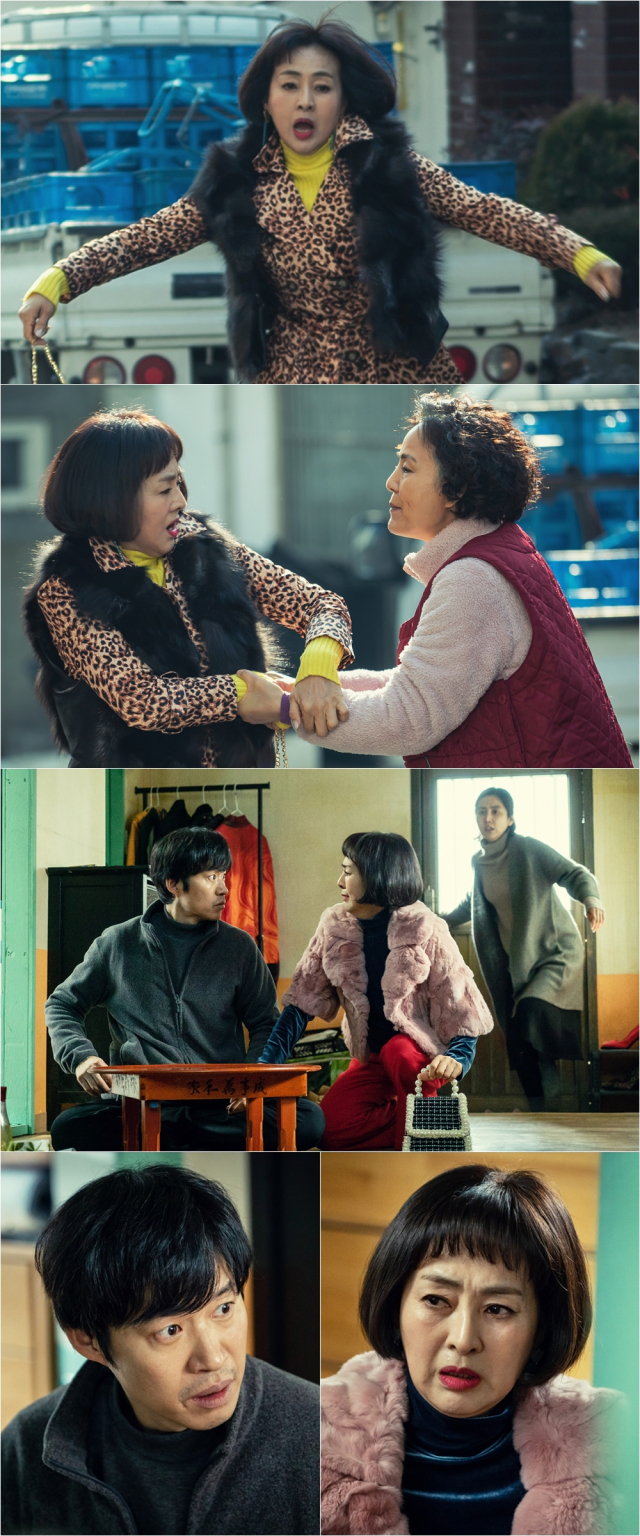 사진. 초록뱀미디어