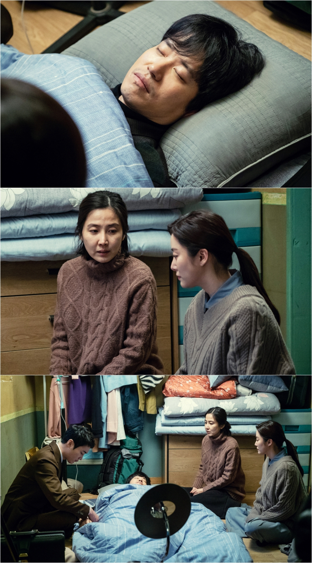 사진. 초록뱀미디어