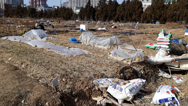 대구의 한 공동 텃밭에 비닐과 쓰레기가 흩어져 있다.