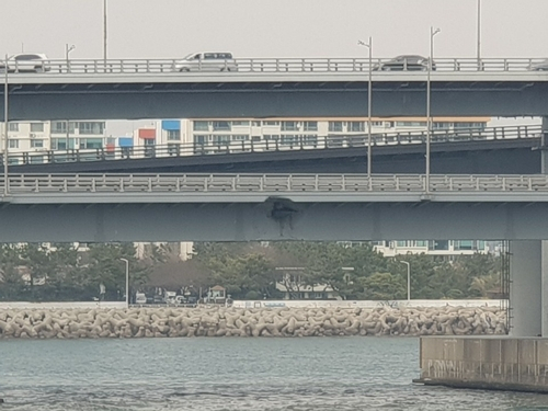 러시아 화물선 충돌로 일부 파손된 광안대교. 부산해양경찰서 제공