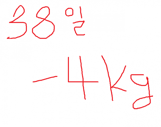 간헐적 단식 38일간의 기록 
