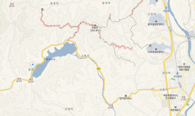 세종시 숯불통돼지갈비 무엇? 