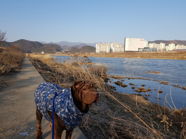 검단 민들레아파트부터 이어지는 검단들 산책로는 왕복 2시간 거리이다.