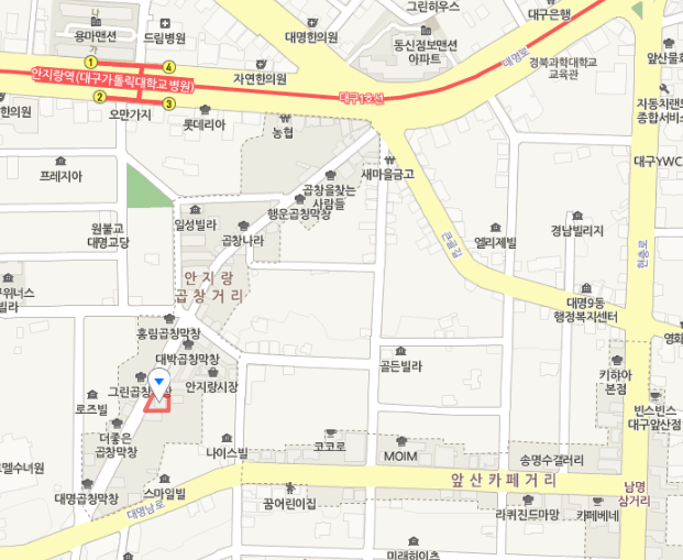 대구 안지랑 곱창거리 