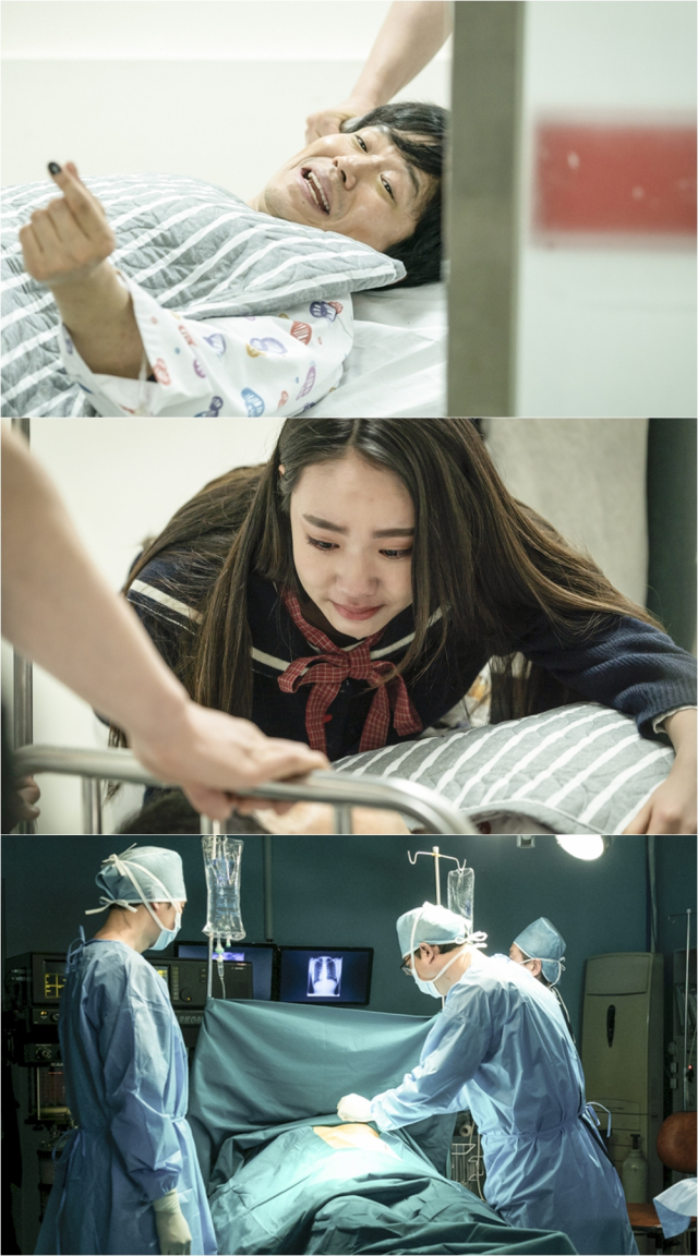 사진. 초록뱀미디어