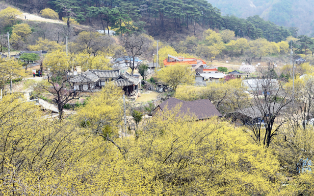 봉화 띠띠미 마을. 경상북도 제공.