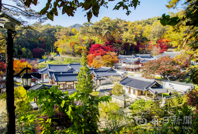 도산서원 전경. 매일신문 DB