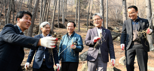 강삼석 씨(왼쪽)가 박성호 경남도지사 권한대행(오른쪽), 김재현 산림청장(오른쪽 두번째) 등에게 산양삼에 대해 설명하고 있다. 거창군 제공