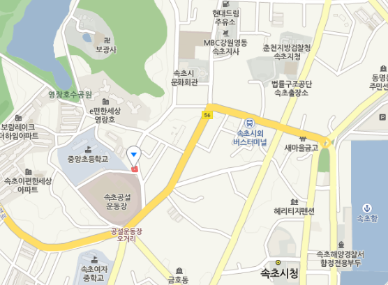 속초 회국수와 잔치국수 달인 