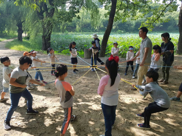 영남대학교 숲체험 교육 프로그램인 