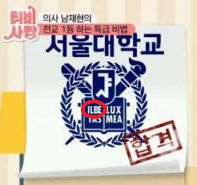 KBS 서울대 일베 버전 로고 논란, TV는 사랑을 싣고 그래픽에 쓰여