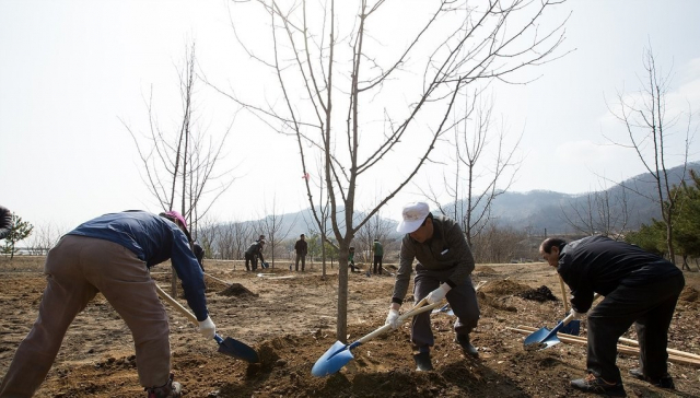 구미경실련은 구미시가 150억원을 들여 조성 중인 무을 돌배나무 특화 숲 사업이 수종 선택이 잘못된 실패한 정책이라고 했다. 구미시 제공
