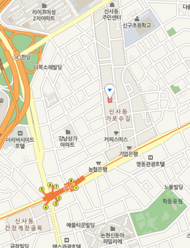 신사동 가로수길 