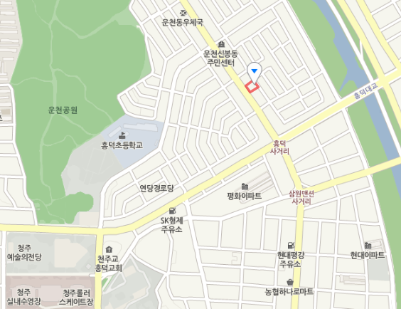 갑오징어 해물칼국수·무침 맛집 청주 