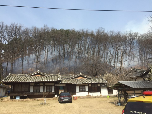 27일 오후 1시 39분쯤 안동시 임하면 천전리 한 야산에서 발생한 화재 현장. 안동소방서 제공