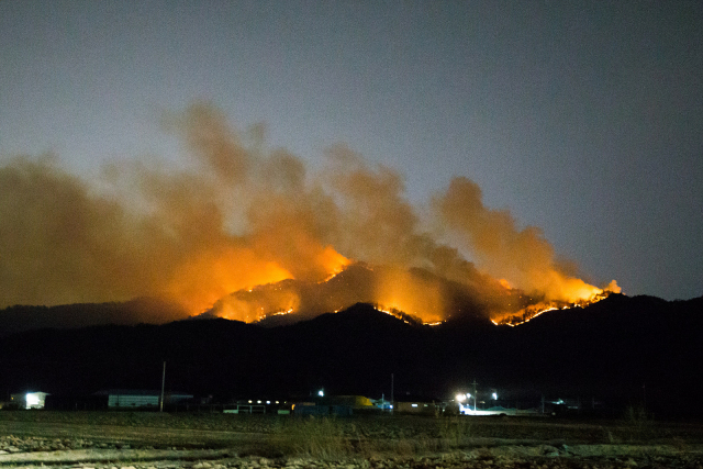 27일 오후 5시 40분께 경북 구미시 고아읍 대망리 왕산골 캠핑장 뒷산에서 불이 나 접성산 정상으로 번지고 있다. 산림당국은 헬기 3대와 소방차 13대를 동원해 산불 진화에 나섰으나 밤이 어두워진 데다 건조한 날씨 탓에 불길을 잡지 못했다. 연합뉴스