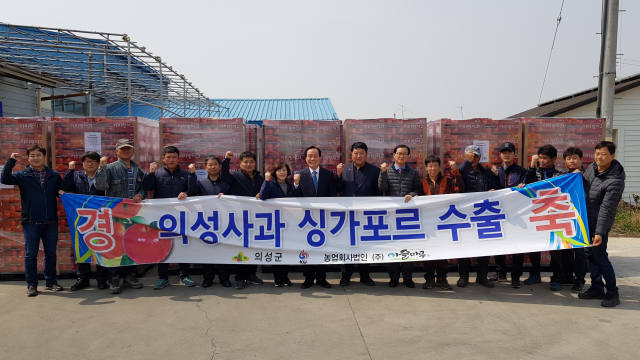 의성 사과가 싱가포르 수출길에 올랐다. 의성군 제공