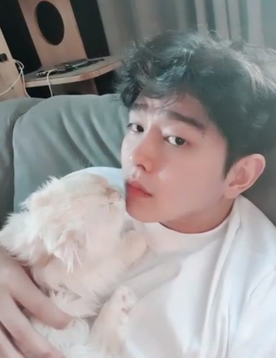 배우 윤균상의 고양이 