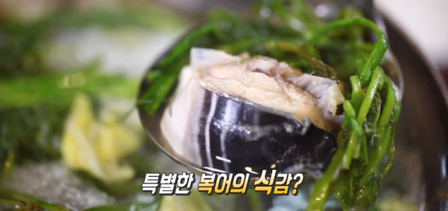 안양 평촌 