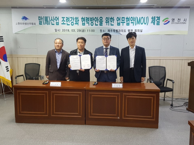 영천시는 지난 29일 제주도청에서 제주 한라마생산자협회와 영천 운주산승마조련센터 활성화 및 제주 한라마 조련강화 협력방안을 위한 MOU를 체결했다. 영천시 제공