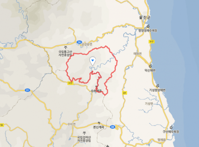 울진 산불 위치는? 금강송면 왕피리. 네이버 지도
