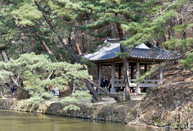 소수서원의 랜드마크가 된 취한대에서 관광객들이 잠시 쉬어가고 있다. 이채근기자 mincho@imaeil.com