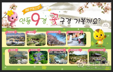 안동 9경 꽃구경 이미지. 안동시