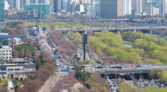 여의도 벚꽃 축제를 하루 앞둔 4일 오후 서울 여의도 국회 인근 여의서로 일대가 봄빛으로 물들어 있다. 연합뉴스