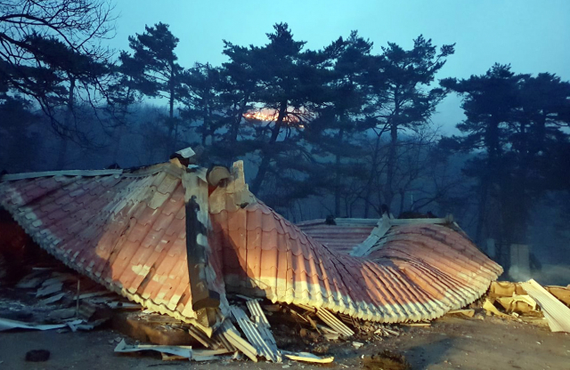 날이 밝은 5일 오전 산불로 인해 강릉시 옥계면의 한 주택이 불로 타버려 지붕만 남은 처참한 모습이다. 연합뉴스